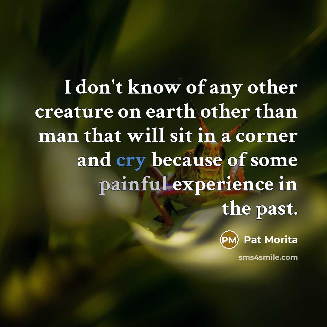 “I don't know of any other creature on earth other…” quote by Pat Morita