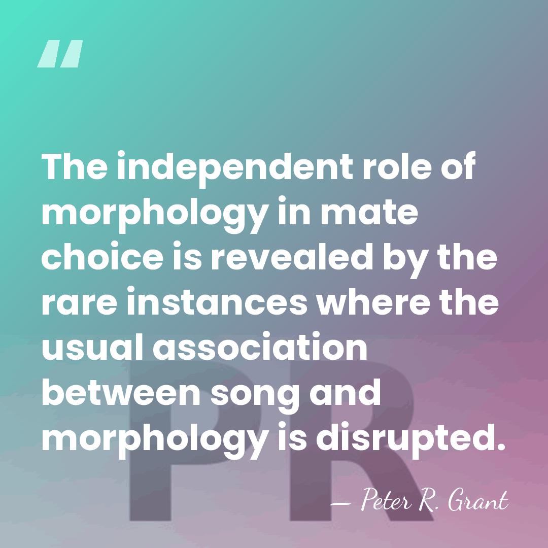 The independent role of morphology in mate choice is revealed by the&hellip; - Peter R. Grant