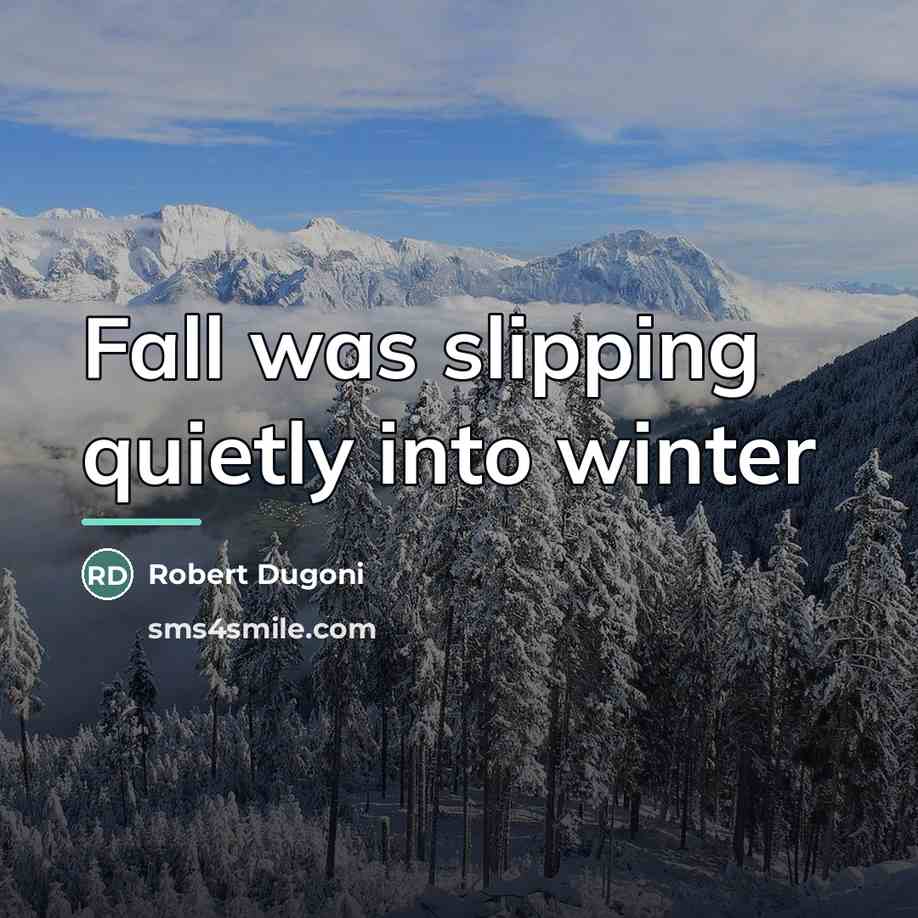 “Fall was slipping quietly into winter…” quote by Robert Dugoni