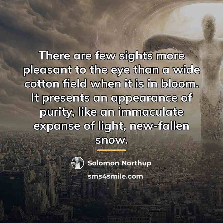 “There are few sights more pleasant to the eye than…” quote by Solomon Northup