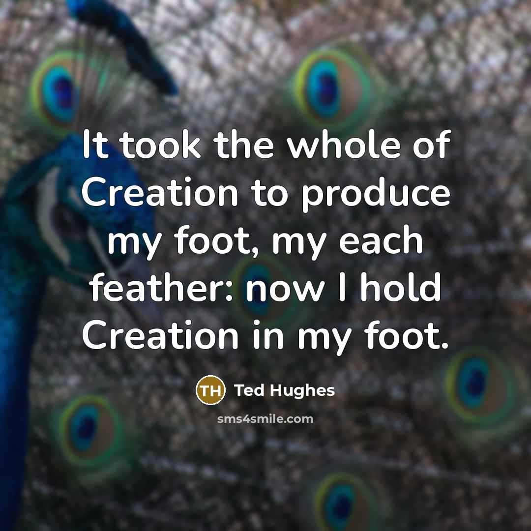 “It took the whole of Creation to produce my foot,…” quote by Ted Hughes