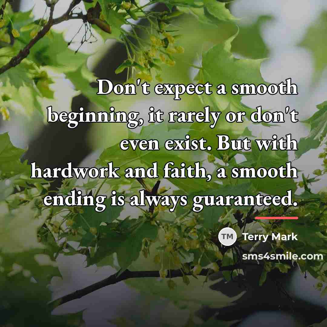“Don't expect a smooth beginning, it rarely or don't even…” quote by Terry Mark