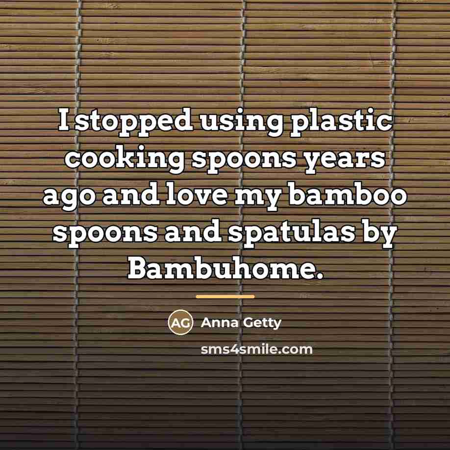 “I stopped using plastic cooking spoons years ago and love…” quote by Anna Getty