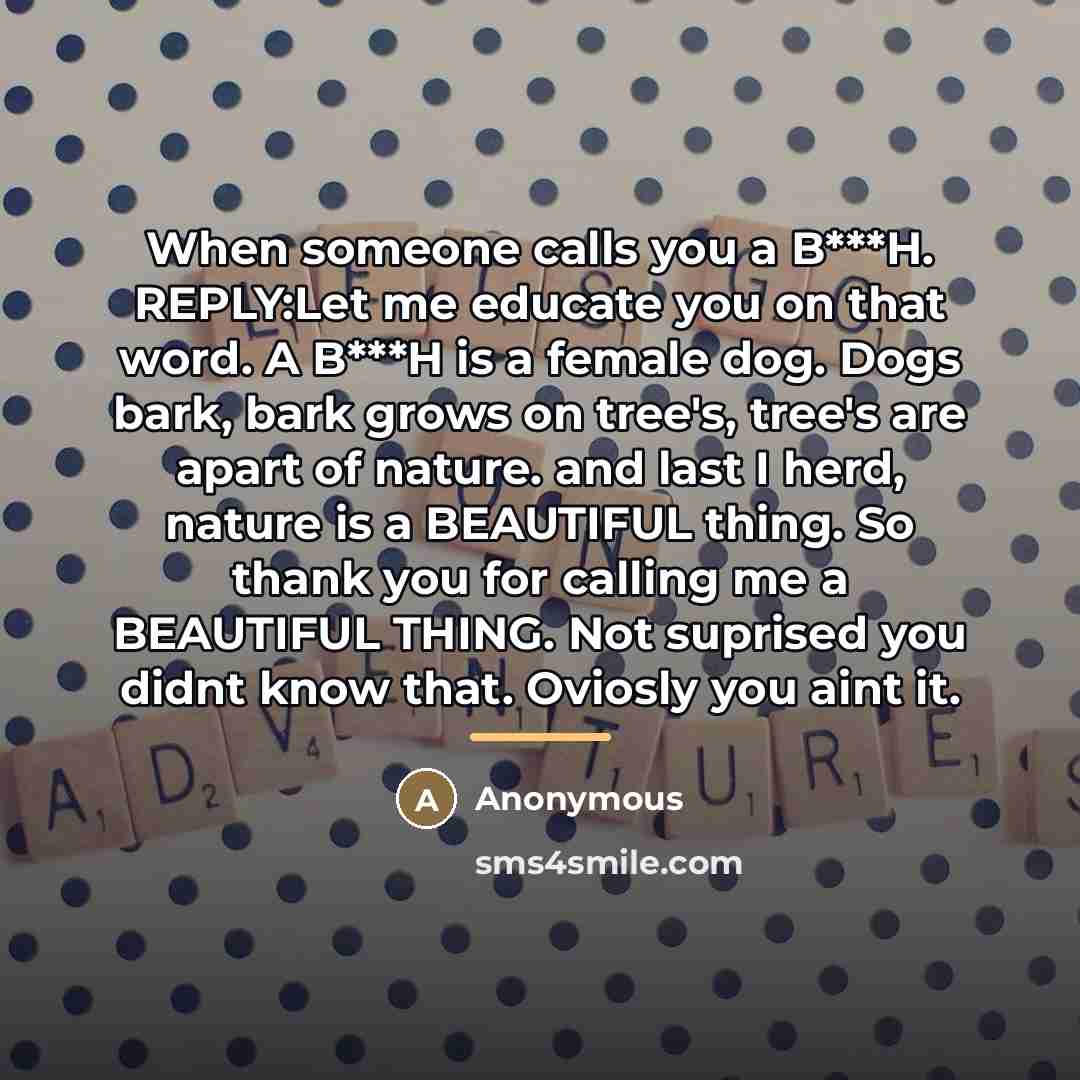“When someone calls you a B***H. REPLY:Let me educate you…” quote by Anonymous
