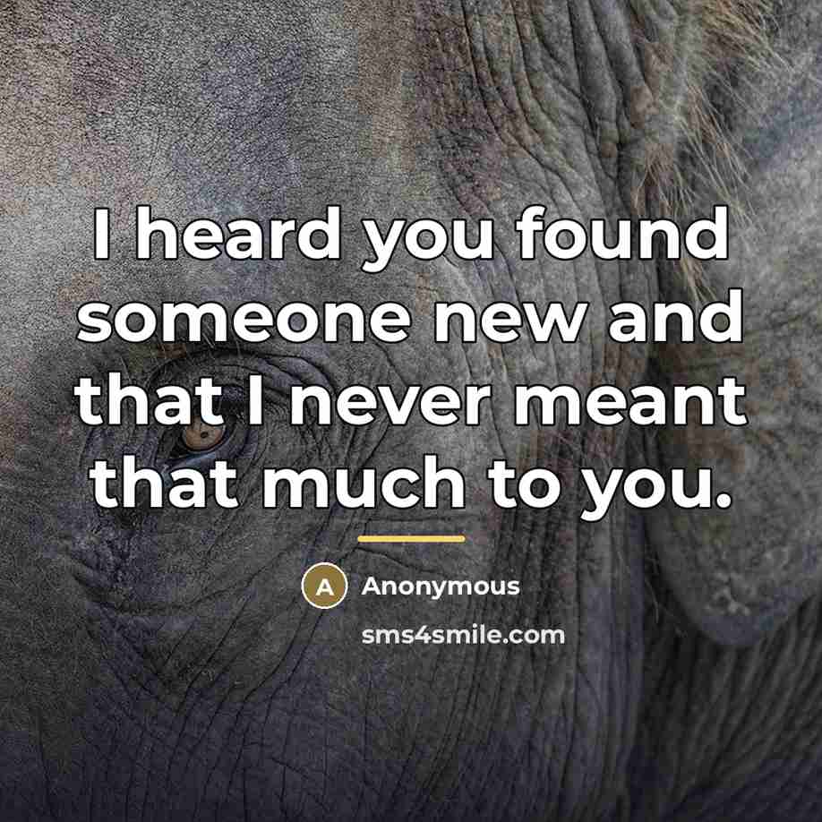 “I heard you found someone new and that I never meant that much to you.” quote by Anonymous