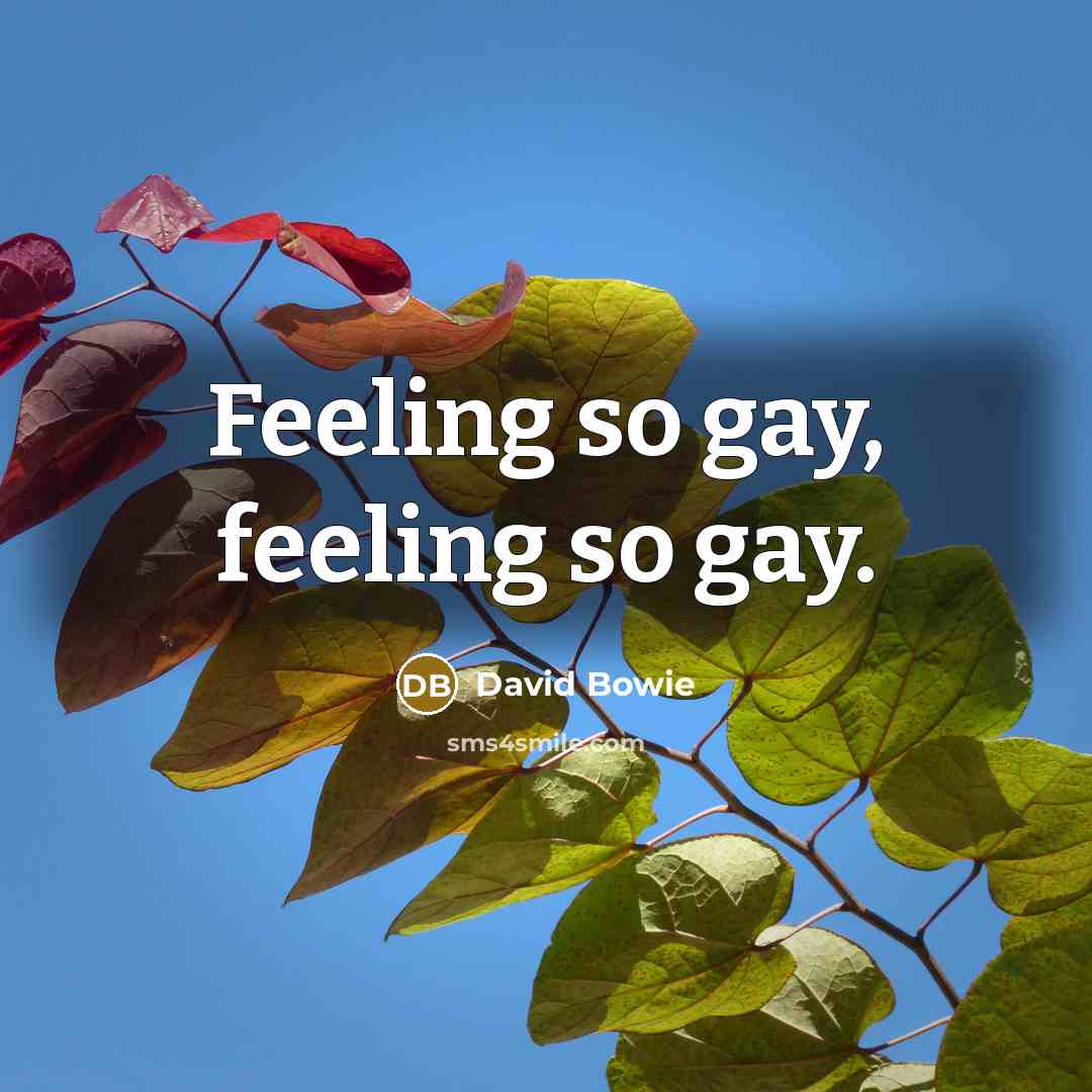 “Feeling so gay, feeling so gay.” quote by David Bowie