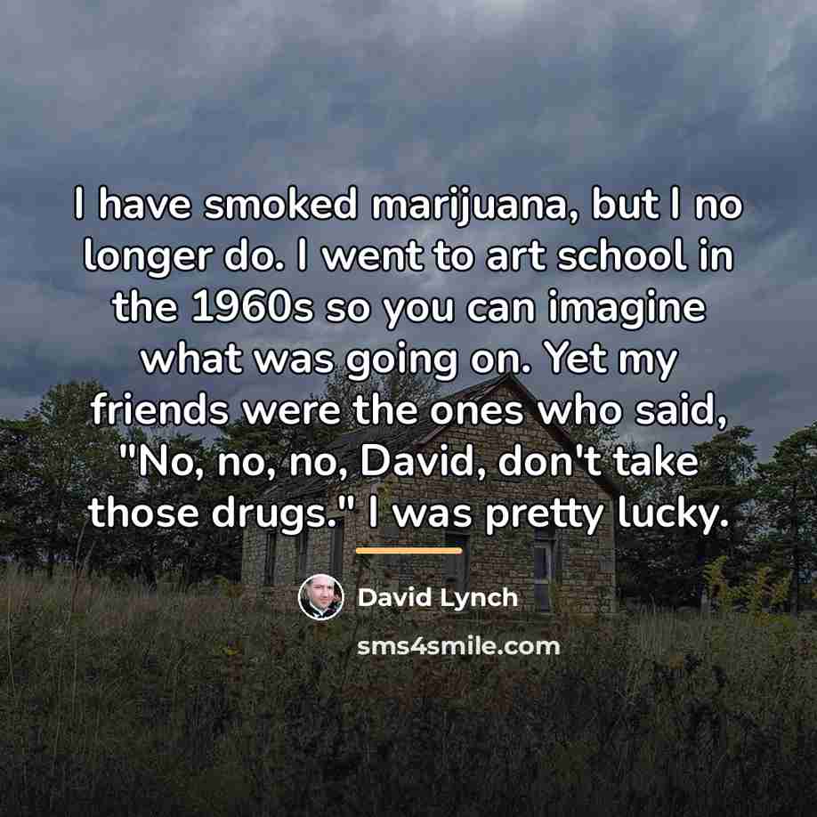 “I have smoked marijuana, but I no longer do. I…” quote by David Lynch