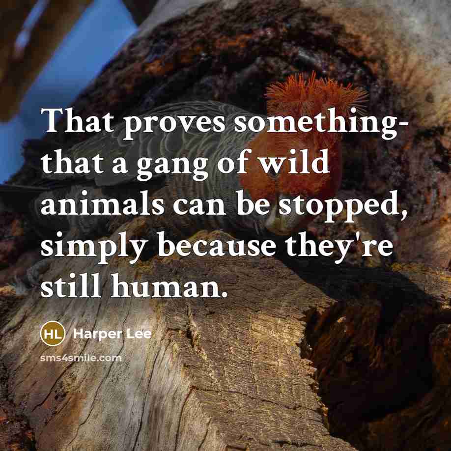 “That proves something- that a gang of wild animals can…” quote by Harper Lee