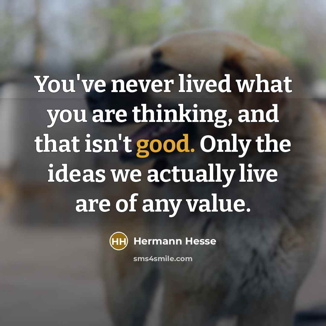 “You've never lived what you are thinking, and that isn't…” quote by Hermann Hesse