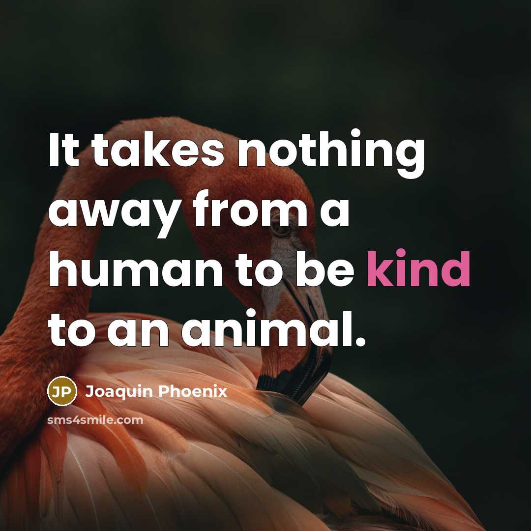 “It takes nothing away from a human to be kind…” quote by Joaquin Phoenix