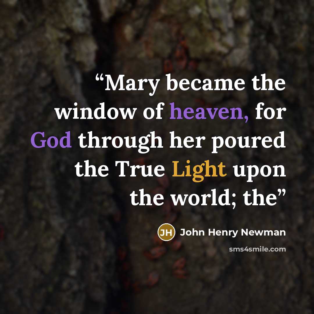 “Mary became the window of heaven, for God through her poured the True Light upon the world; the” quote by John Henry Newman