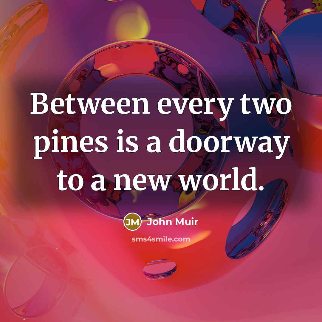 “Between every two pines is a doorway to a new…” quote by John Muir