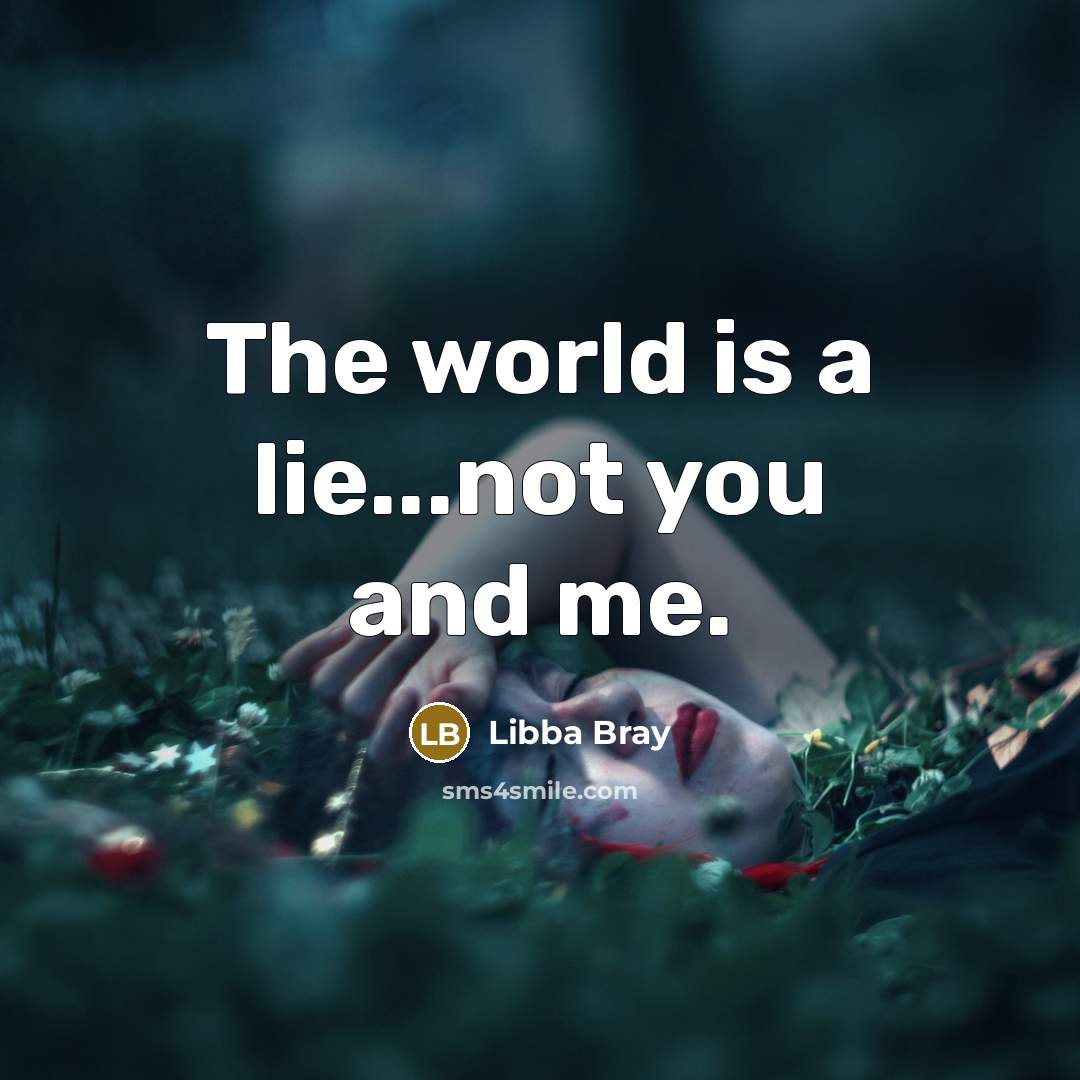 “The world is a lie...not you and me.…” quote by Libba Bray