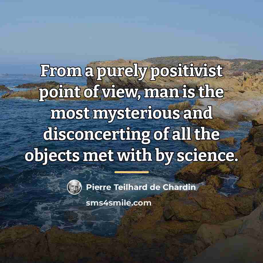 “From a purely positivist point of view, man is the…” quote by Pierre Teilhard de Chardin