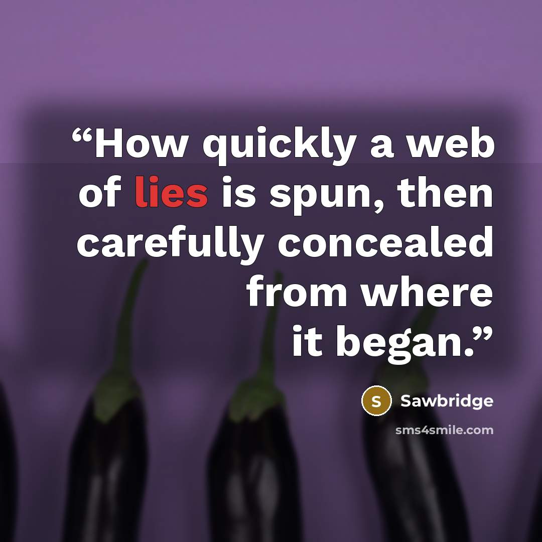 “How quickly a web of lies is spun, then carefully concealed from where it began.” quote by Sawbridge