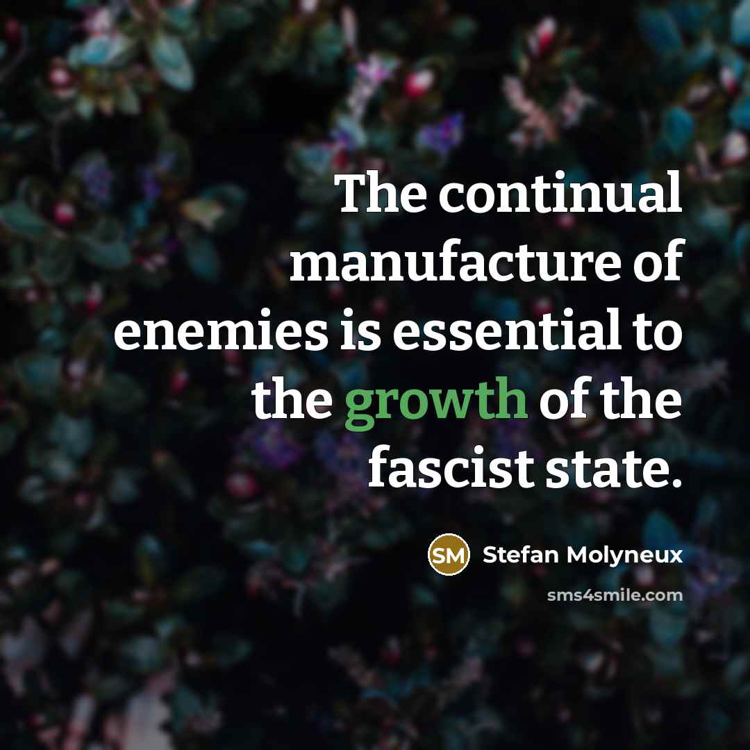 “The continual manufacture of enemies is essential to the growth…” quote by Stefan Molyneux