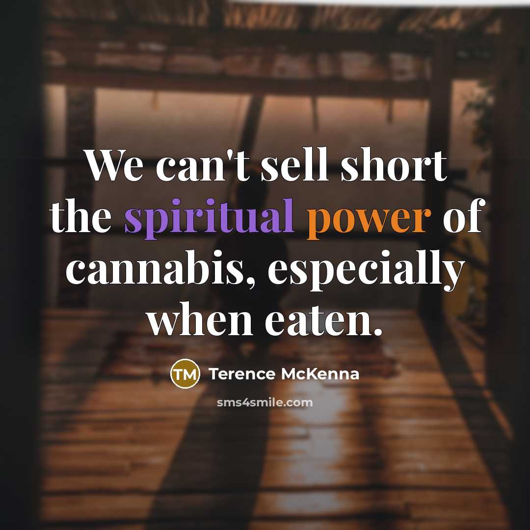 “We can't sell short the spiritual power of cannabis, especially…” quote by Terence McKenna