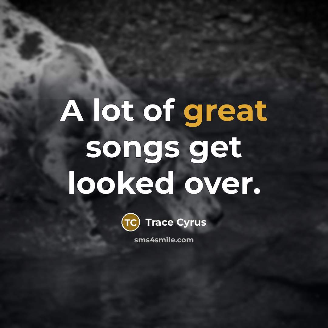 “A lot of great songs get looked over.…” quote by Trace Cyrus