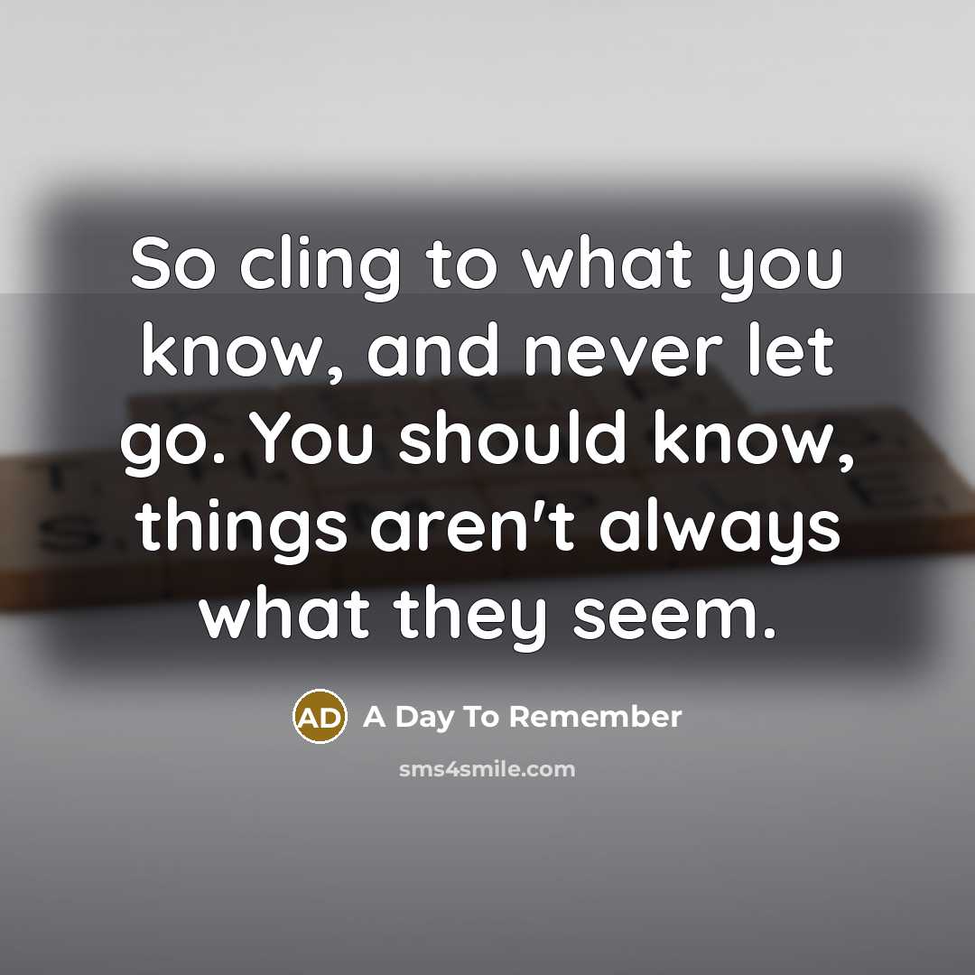 “So cling to what you know, and never let go.…” quote by A Day To Remember