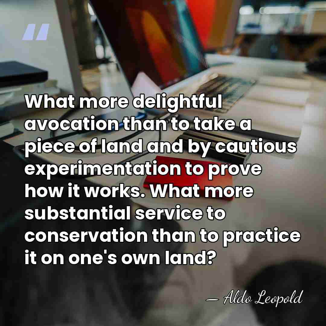 What more delightful avocation than to take a piece of land and&hellip; - Aldo Leopold