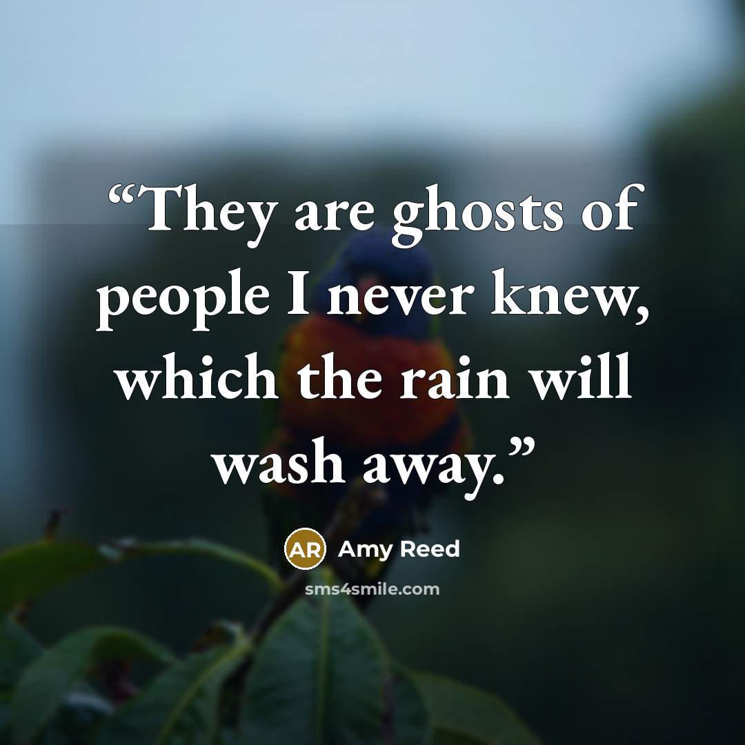 “They are ghosts of people I never knew, which the rain will wash away.” quote by Amy Reed