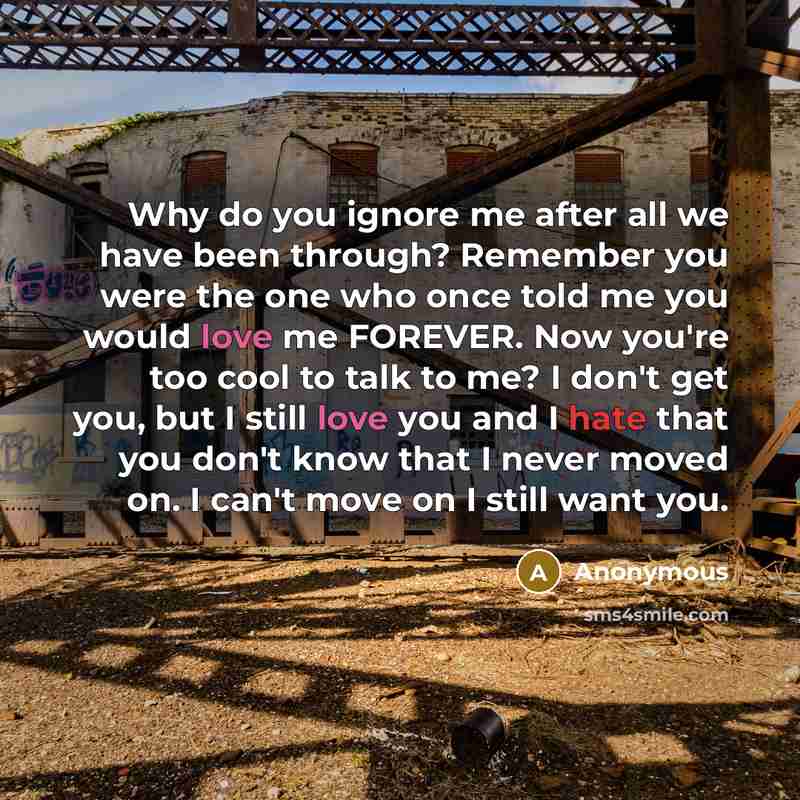 “Why do you ignore me after all we have been…” quote by Anonymous