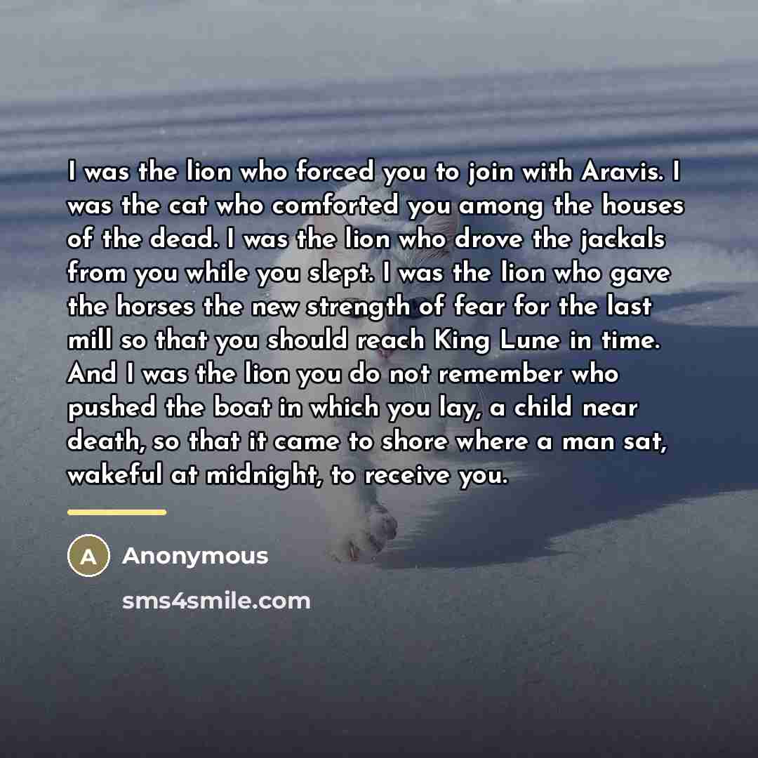 “I was the lion who forced you to join with…” quote by Anonymous