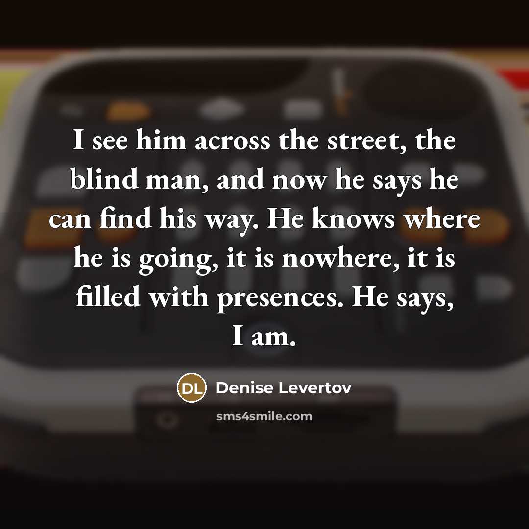 “I see him across the street, the blind man, and…” quote by Denise Levertov