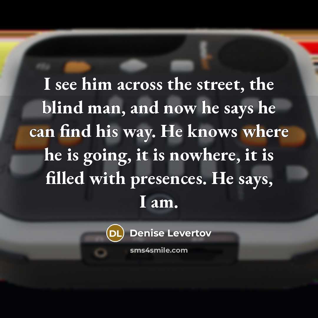 “I see him across the street, the blind man, and now he says he can find his way. He knows where he is going, it is nowhere, it is filled with presences. He says, I am.” quote by Denise Levertov