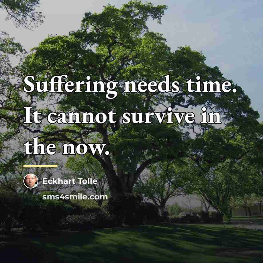 “Suffering needs time. It cannot survive in the now.…” quote by Eckhart Tolle