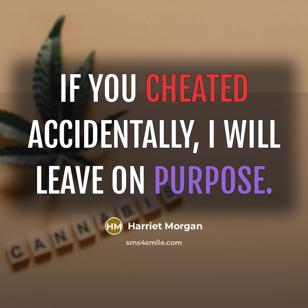 “If you cheated ACCIDENTALLY, I will leave on PURPOSE.” quote by Harriet Morgan