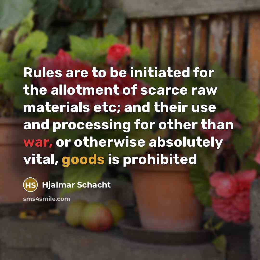 “Rules are to be initiated for the allotment of scarce…” quote by Hjalmar Schacht
