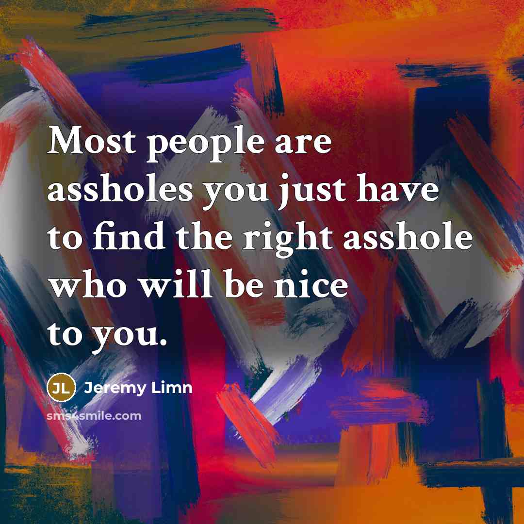 “Most people are assholes you just have to find the right asshole who will be nice to you.” quote by Jeremy Limn