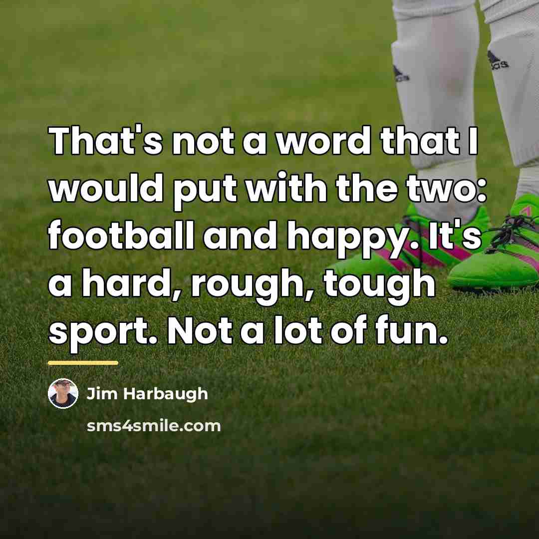“That's not a word that I would put with the…” quote by Jim Harbaugh