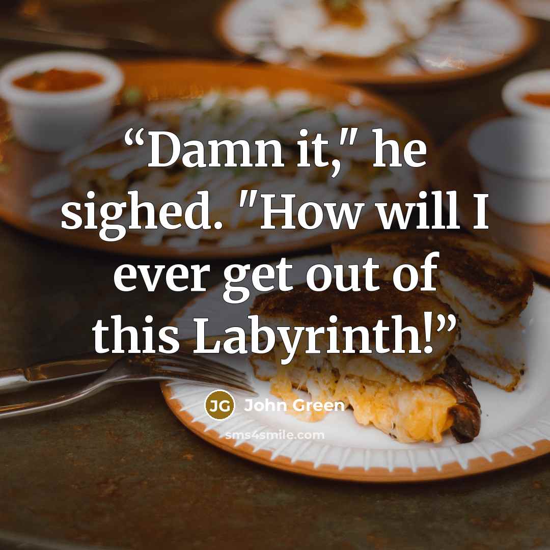 “Damn it," he sighed. "How will I ever get out of this Labyrinth!” quote by John Green