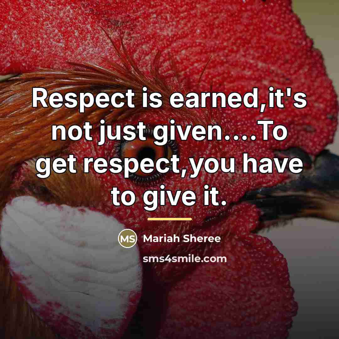 “Respect is earned,it's not just given....To get respect,you have to…” quote by Mariah Sheree