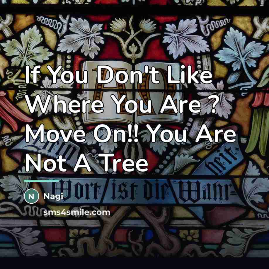 “If You Don't Like Where You Are ? Move On!!…” quote by Nagi