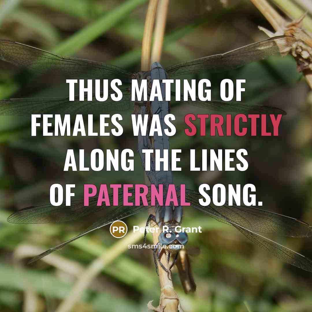 “Thus mating of females was strictly along the lines of…” quote by Peter R. Grant