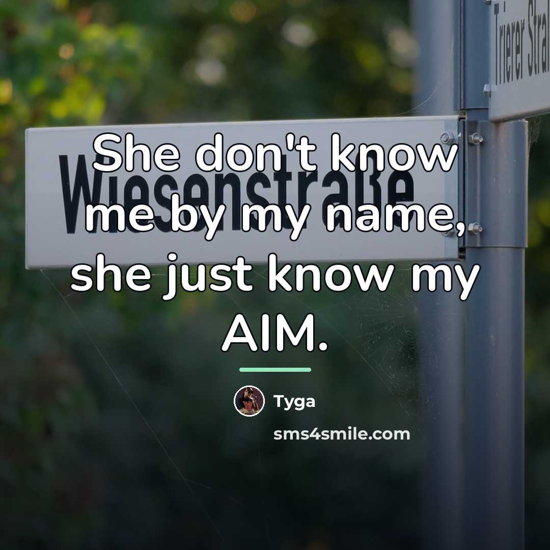“She don't know me by my name, she just know…” quote by Tyga