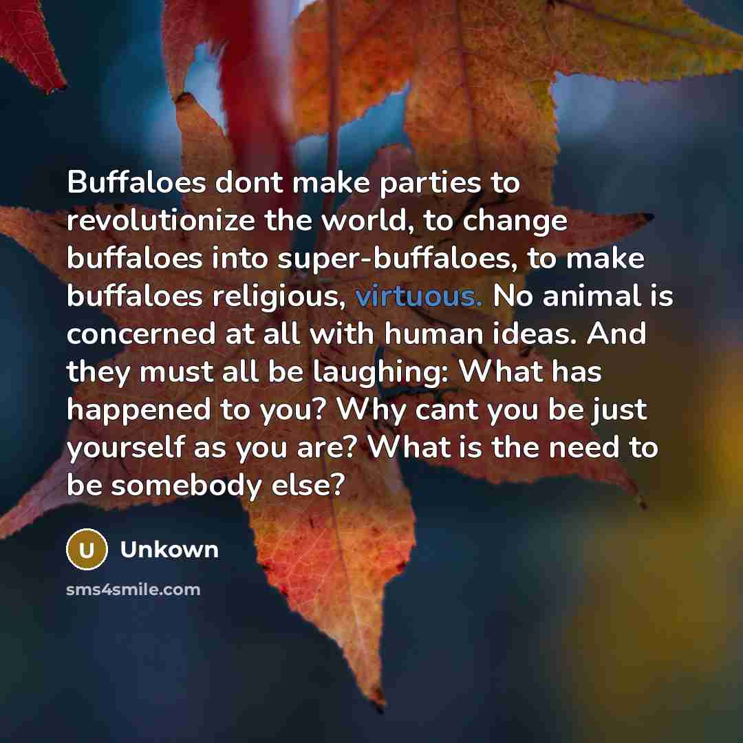 “Buffaloes dont make parties to revolutionize the world, to change…” quote by Unkown