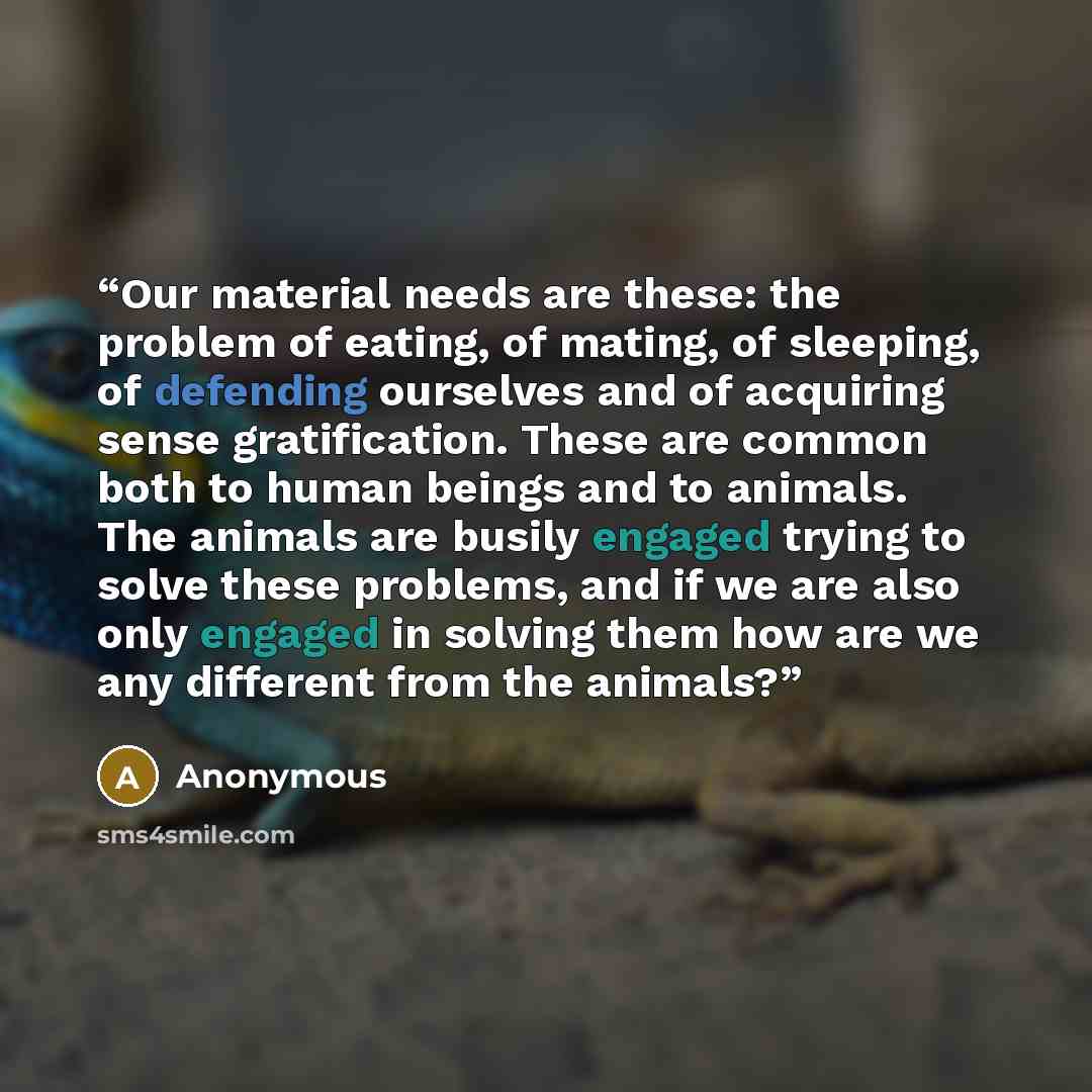 “Our material needs are these: the problem of eating, of mating, of sleeping, of defending ourselves and of acquiring sense gratification. These are common both to human beings and to animals. The animals are busily engaged trying to solve these problems, and if we are also only engaged in solving…” quote by Anonymous
