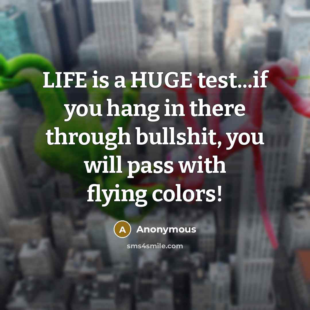 “LIFE is a HUGE test...if you hang in there through bullshit, you will pass with flying colors!” quote by Anonymous