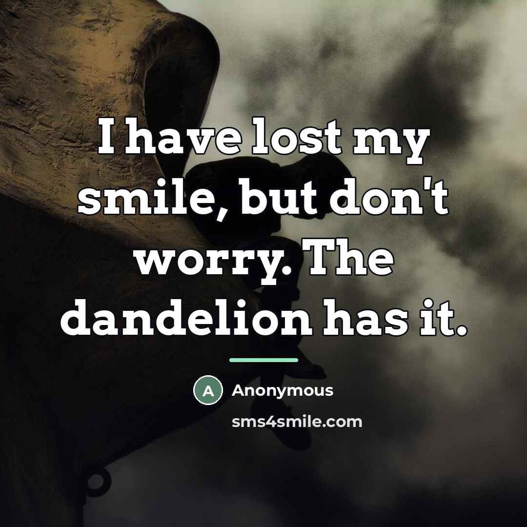 “I have lost my smile, but don't worry. The dandelion…” quote by Anonymous