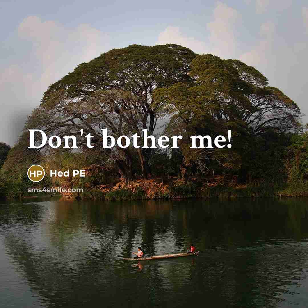 “Don't bother me!” quote by Hed PE