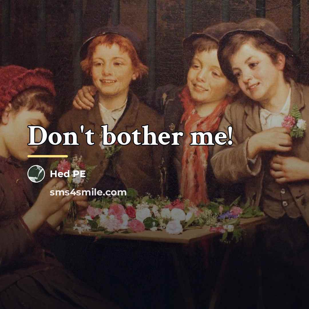 “Don't bother me!…” quote by Hed PE