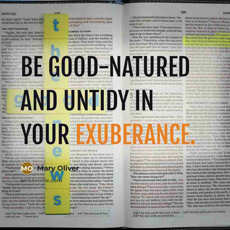 “Be good-natured and untidy in your exuberance.…” quote by Mary Oliver