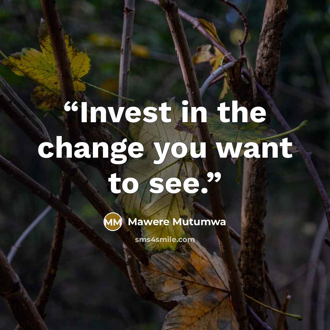 “Invest in the change you want to see.” quote by Mawere Mutumwa