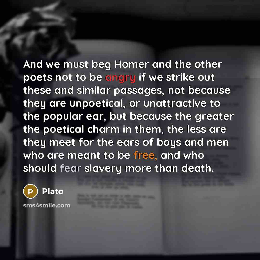 “And we must beg Homer and the other poets not…” quote by Plato