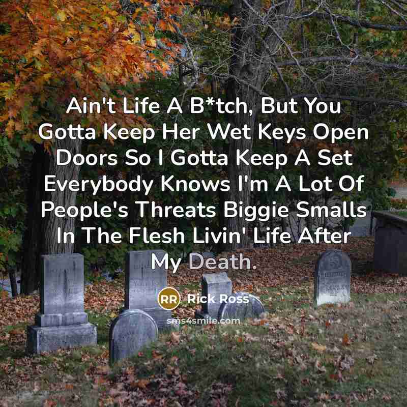 “Ain't Life A B*tch, But You Gotta Keep Her Wet…” quote by Rick Ross