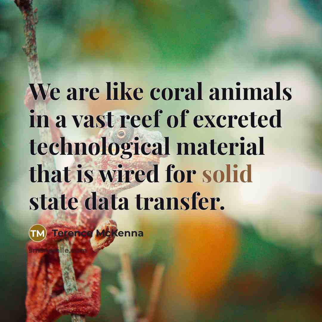 “We are like coral animals in a vast reef of…” quote by Terence McKenna